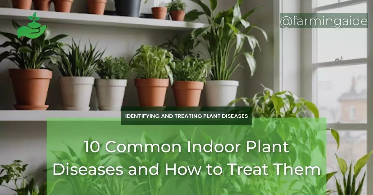 10 Common Indoor Plant Diseases and How to Treat Them