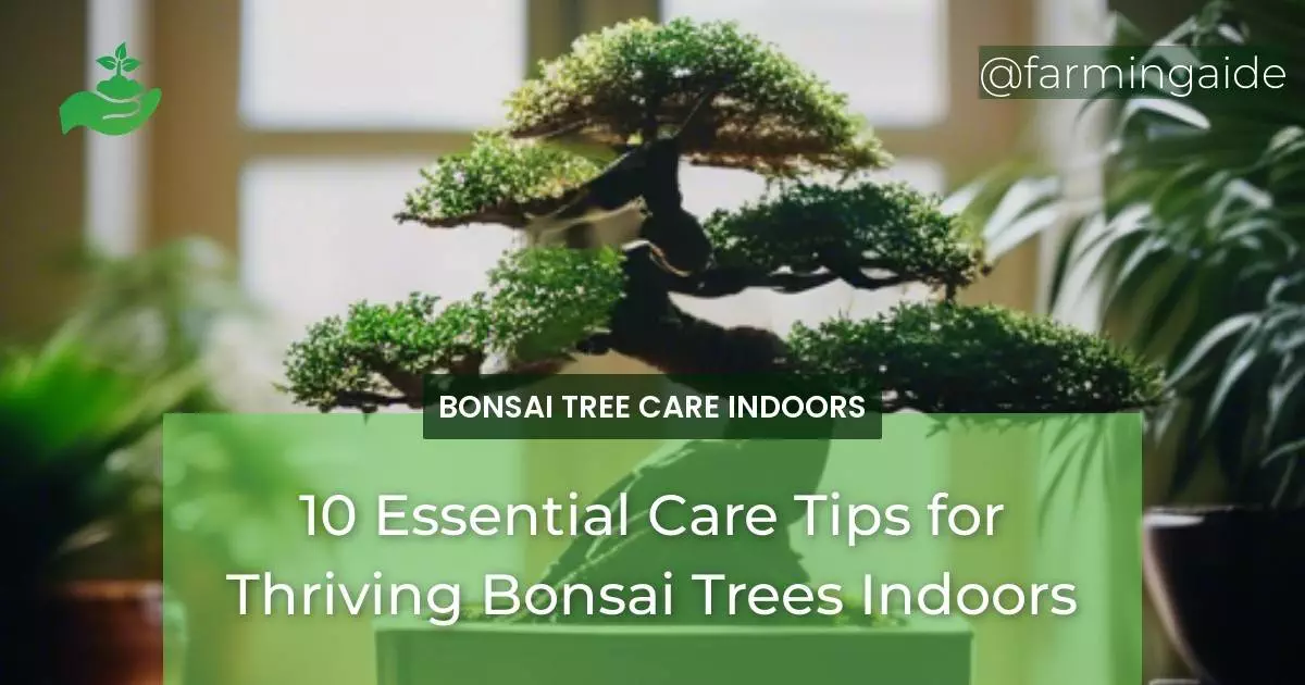 10 Essential Care Tips for Thriving Bonsai Trees Indoors