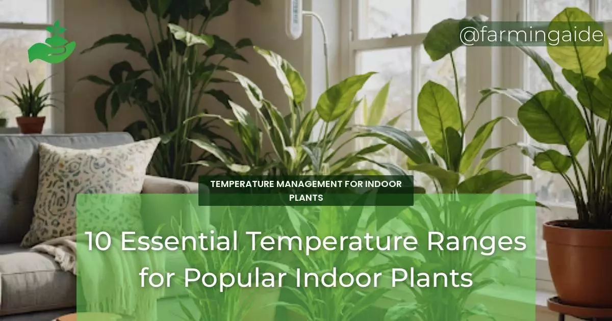 10 Essential Temperature Ranges for Popular Indoor Plants