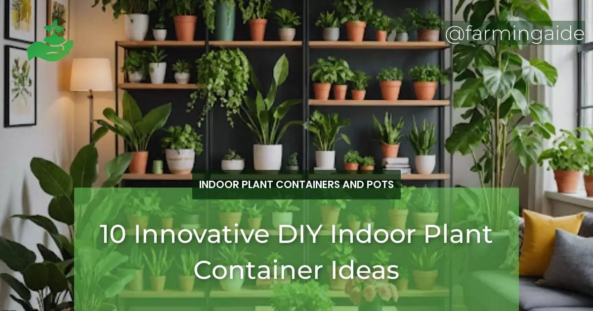 10 Innovative DIY Indoor Plant Container Ideas