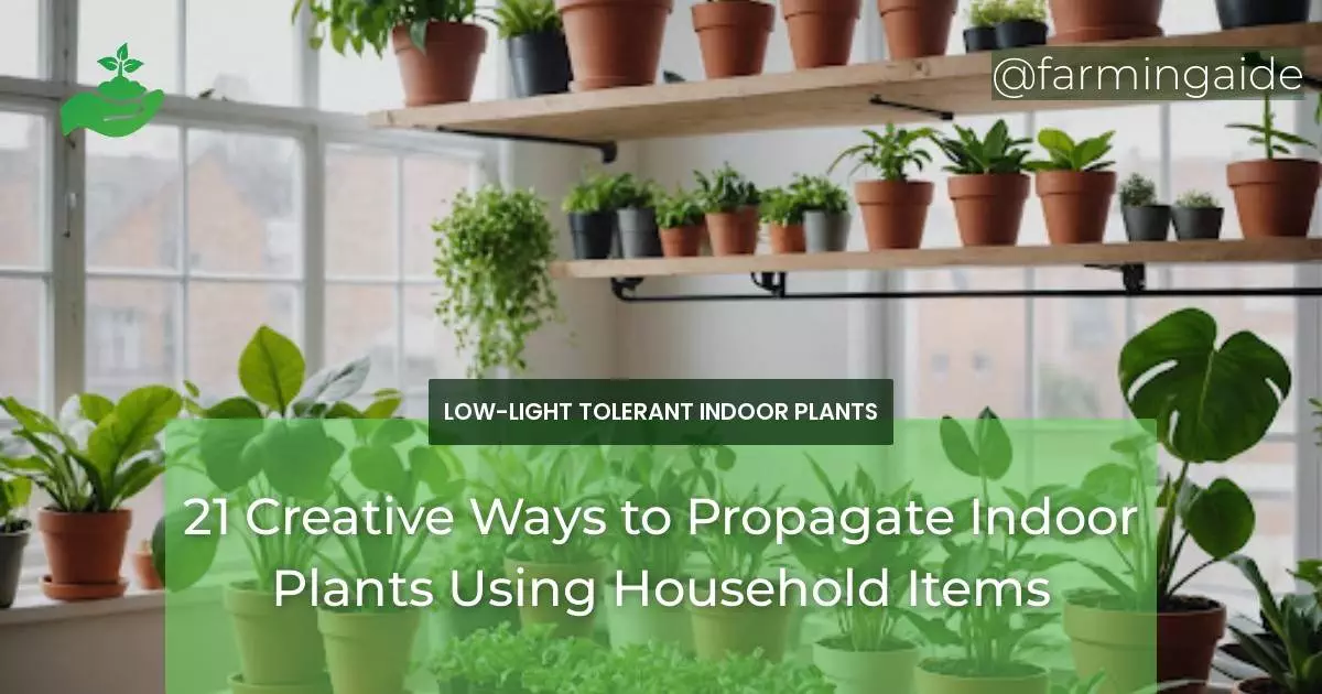 21 Creative Ways to Propagate Indoor Plants Using Household Items