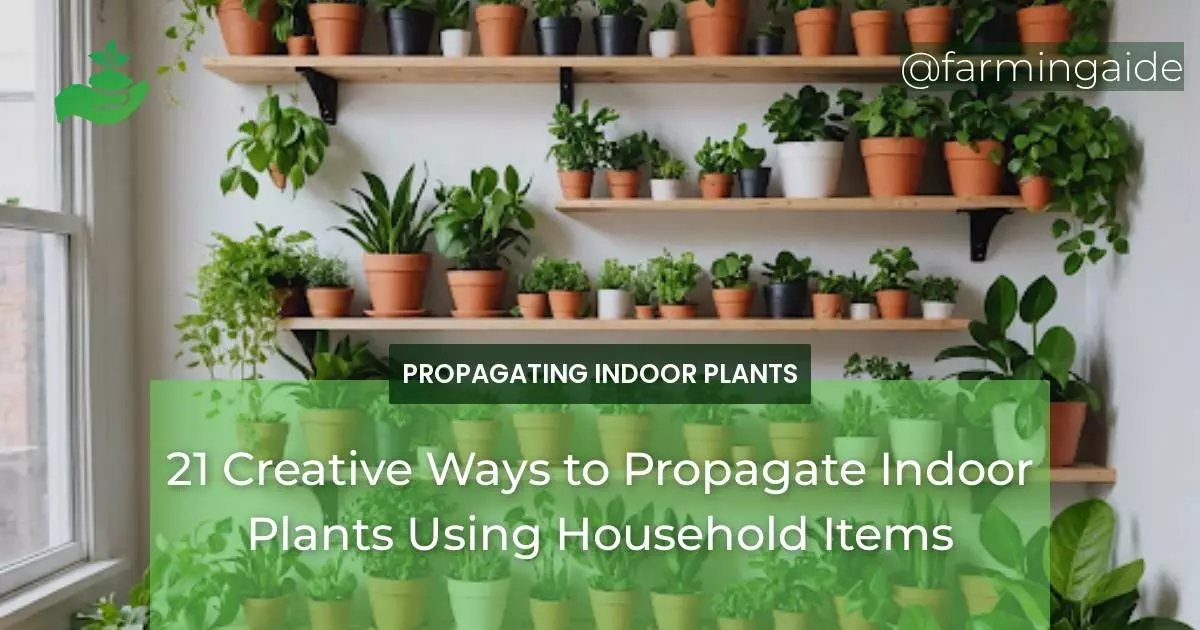 21 Creative Ways to Propagate Indoor Plants Using Household Items