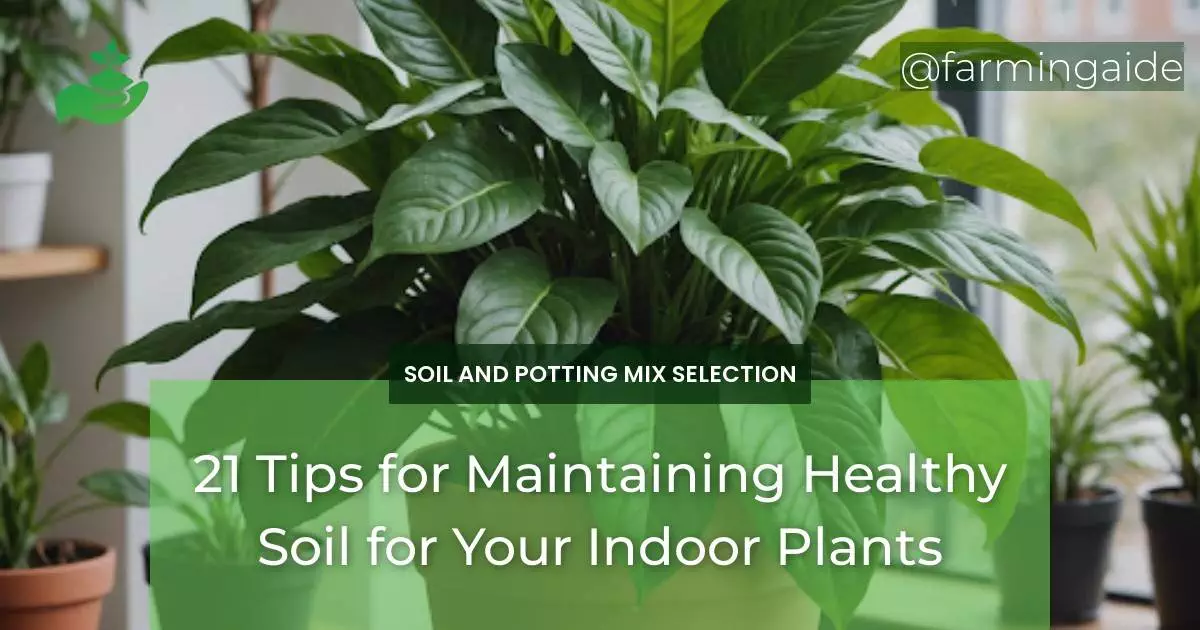 21 Tips for Maintaining Healthy Soil for Your Indoor Plants
