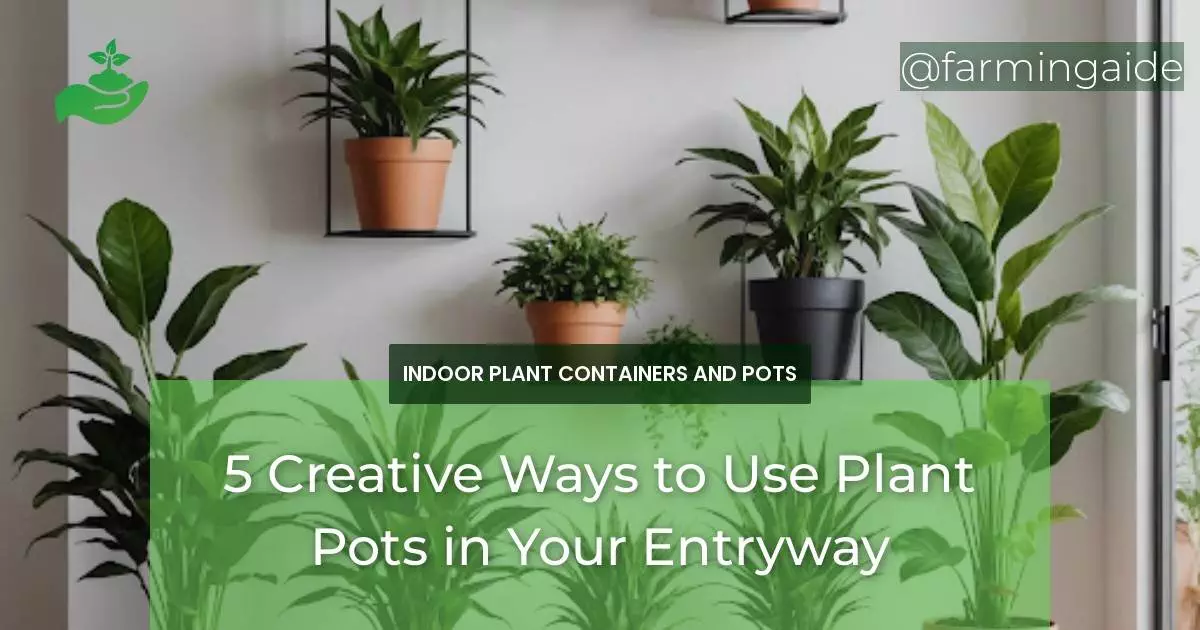 5 Creative Ways to Use Plant Pots in Your Entryway