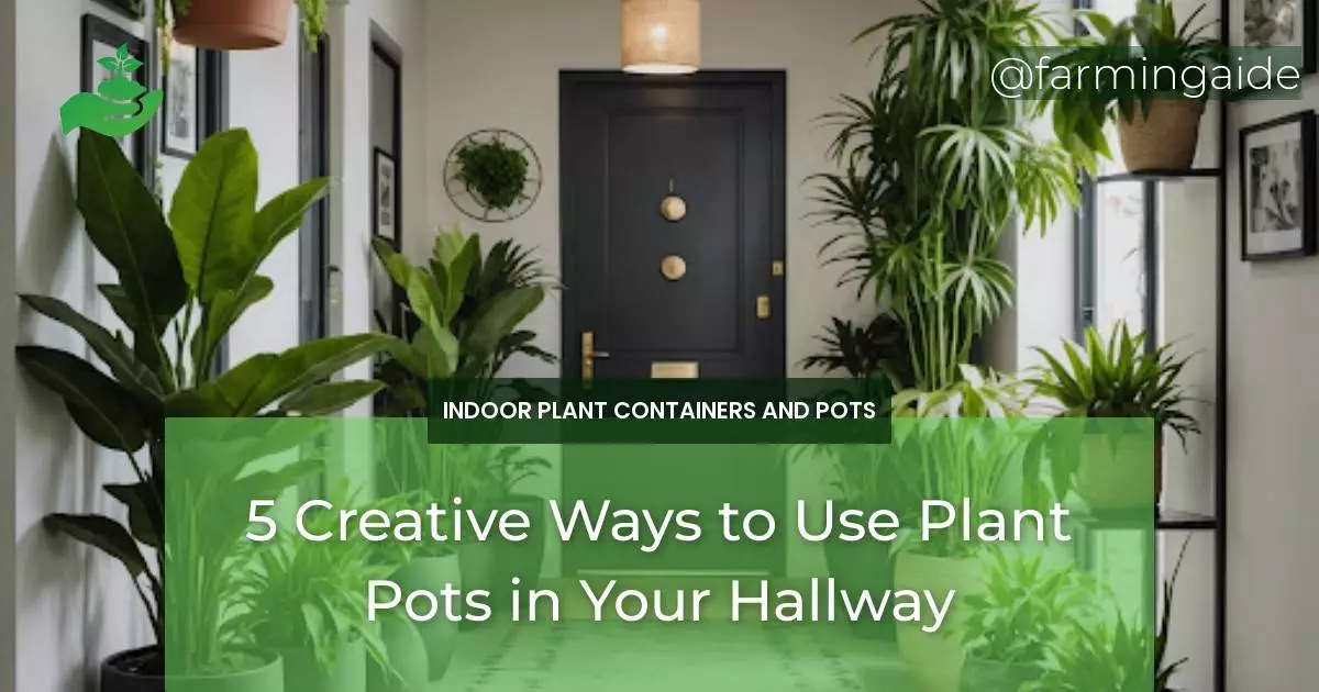 5 Creative Ways to Use Plant Pots in Your Hallway