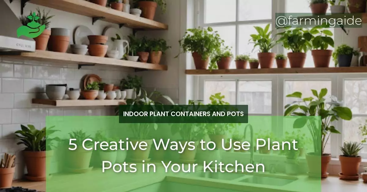 5 Creative Ways to Use Plant Pots in Your Kitchen