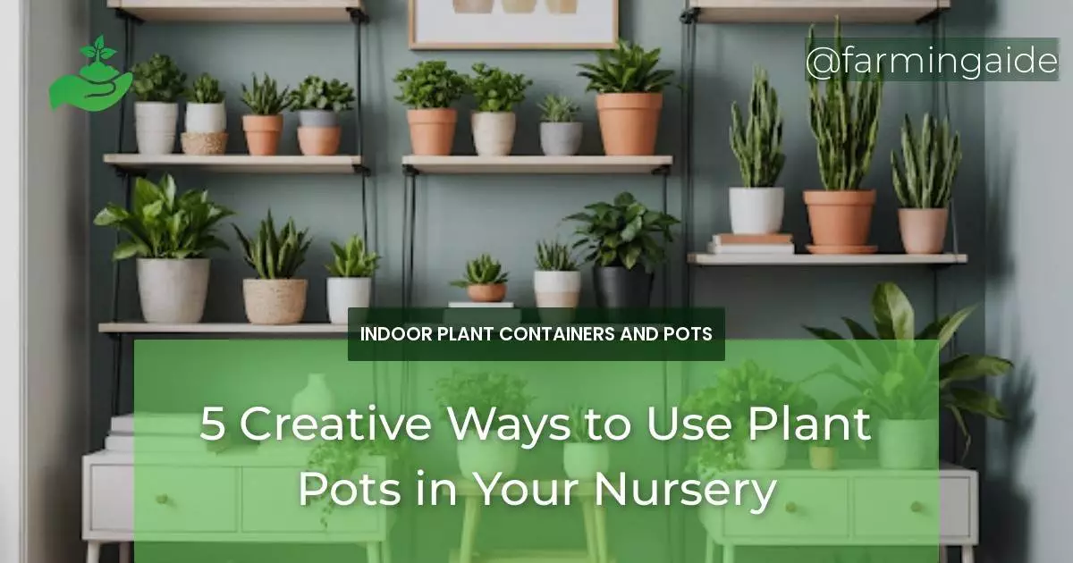 5 Creative Ways to Use Plant Pots in Your Nursery