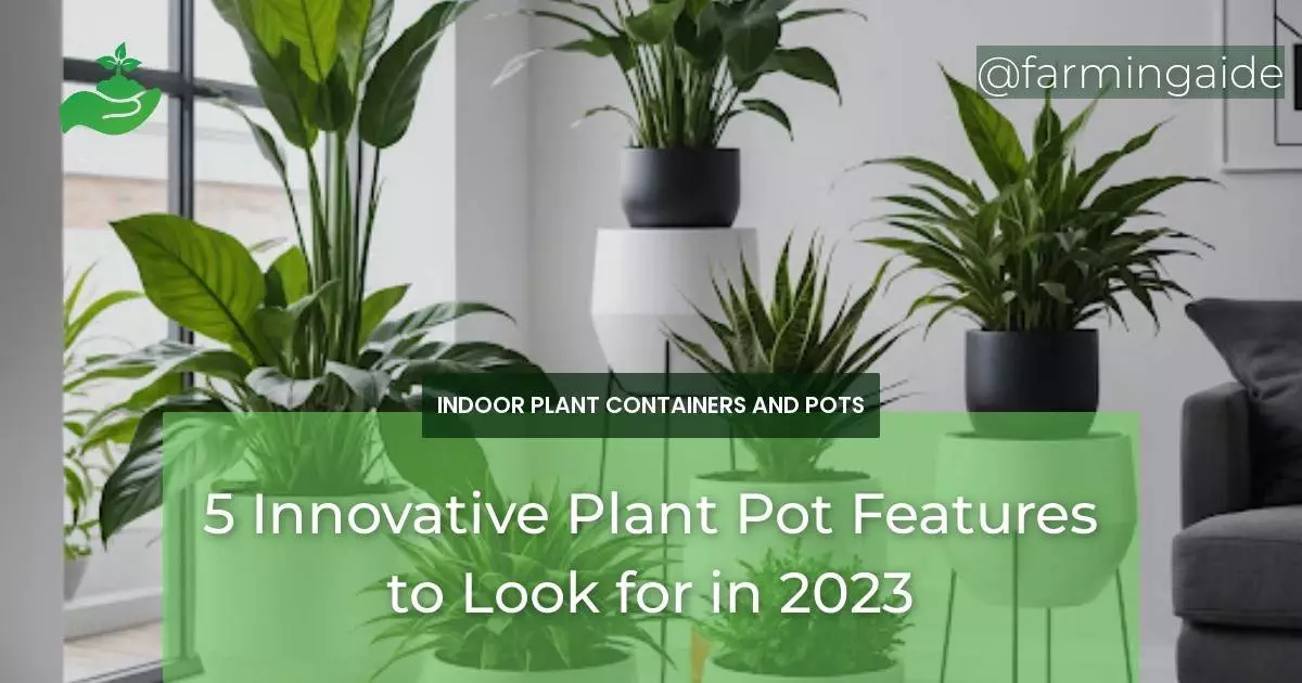 5 Innovative Plant Pot Features to Look for in 2023