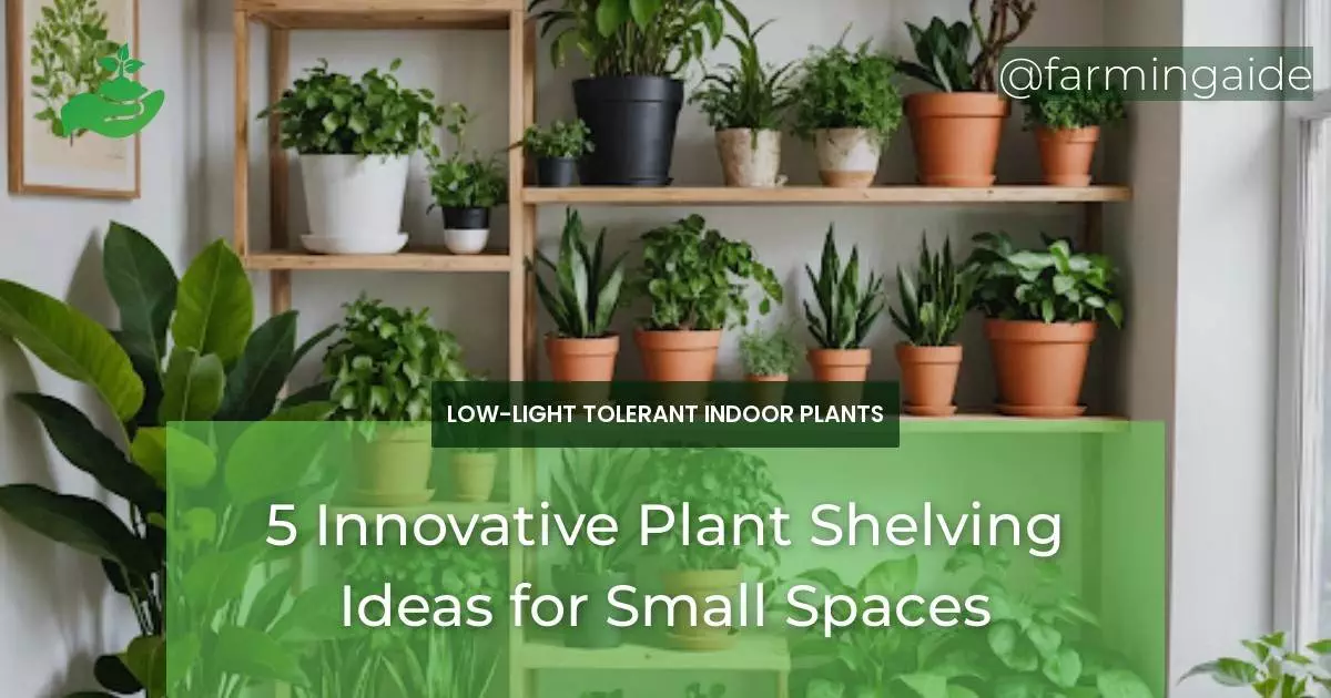5 Innovative Plant Shelving Ideas for Small Spaces