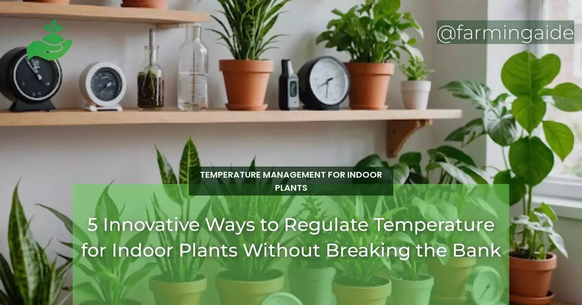 5 Innovative Ways to Regulate Temperature for Indoor Plants Without Breaking the Bank