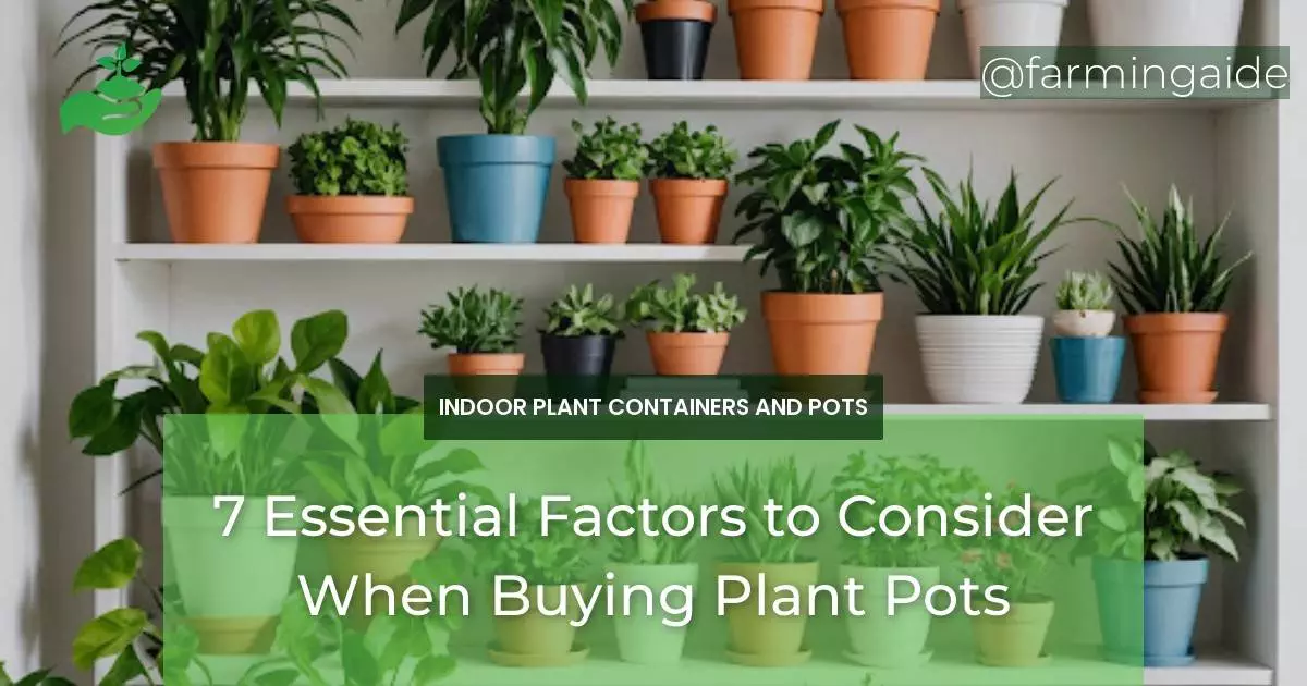 7 Essential Factors to Consider When Buying Plant Pots