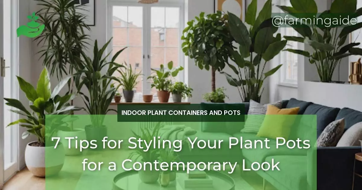 7 Tips for Styling Your Plant Pots for a Contemporary Look