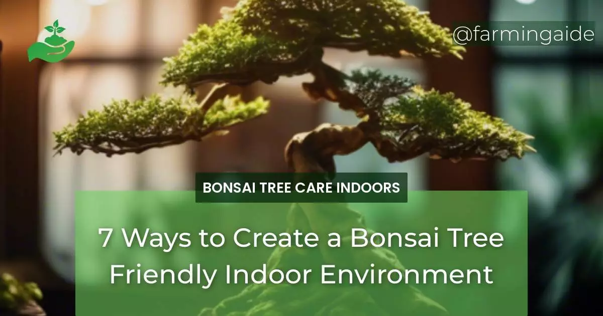 7 Ways to Create a Bonsai Tree Friendly Indoor Environment