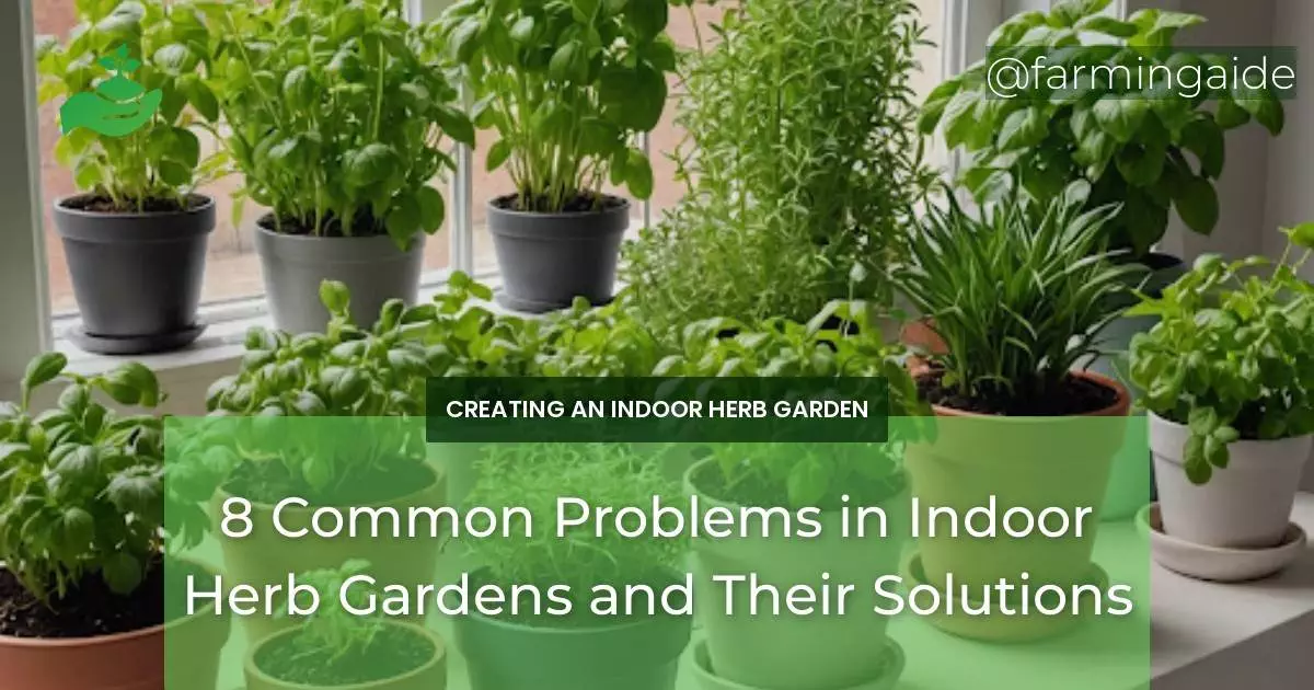 8 Common Problems in Indoor Herb Gardens and Their Solutions