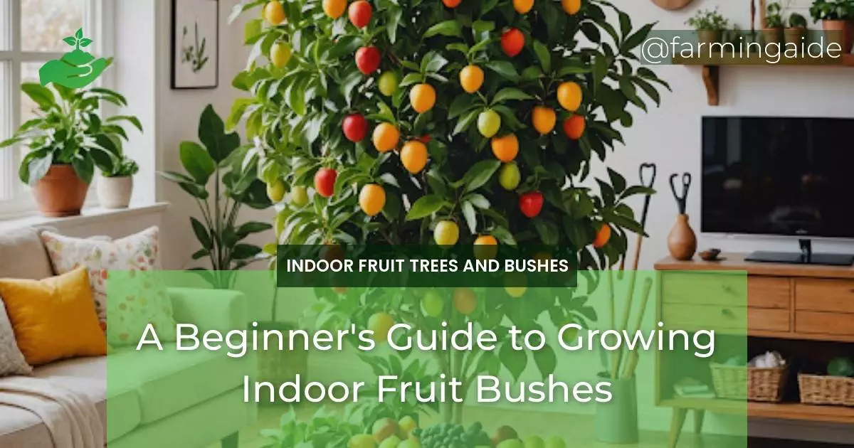A Beginner's Guide to Growing Indoor Fruit Bushes