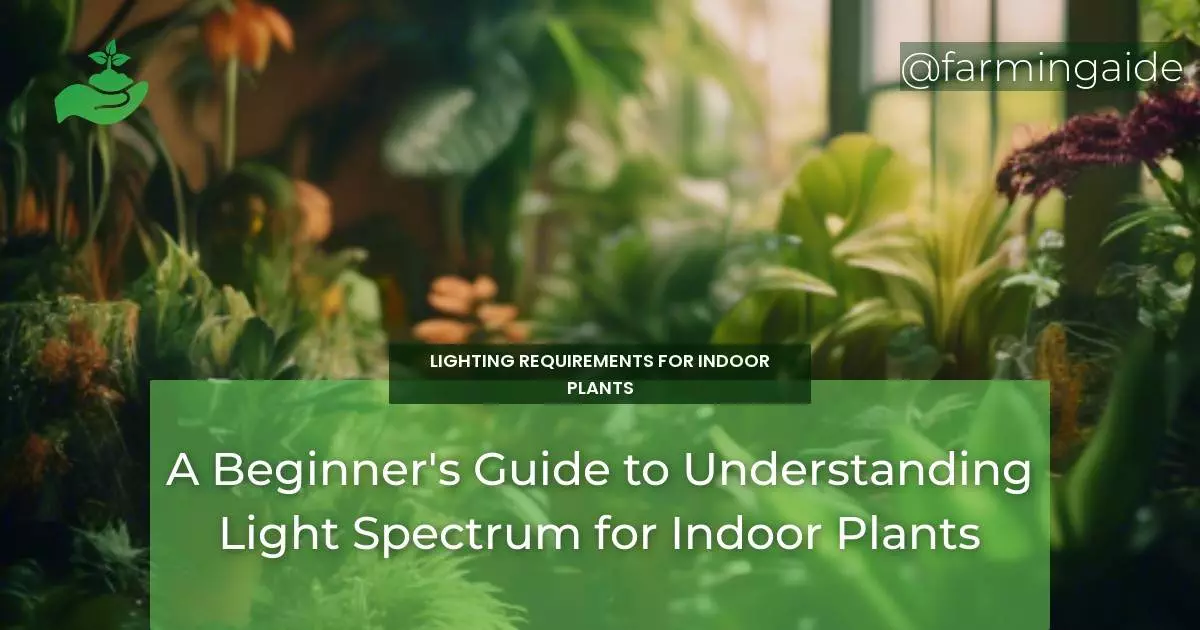 A Beginner's Guide to Understanding Light Spectrum for Indoor Plants
