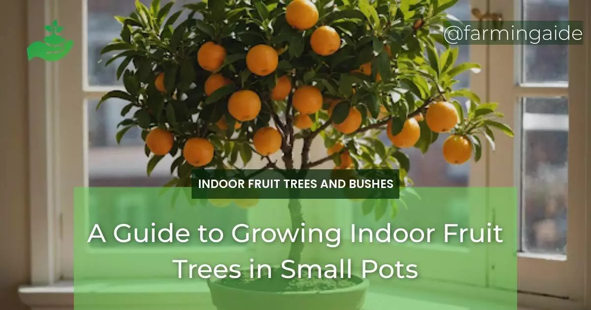 A Guide to Growing Indoor Fruit Trees in Small Pots