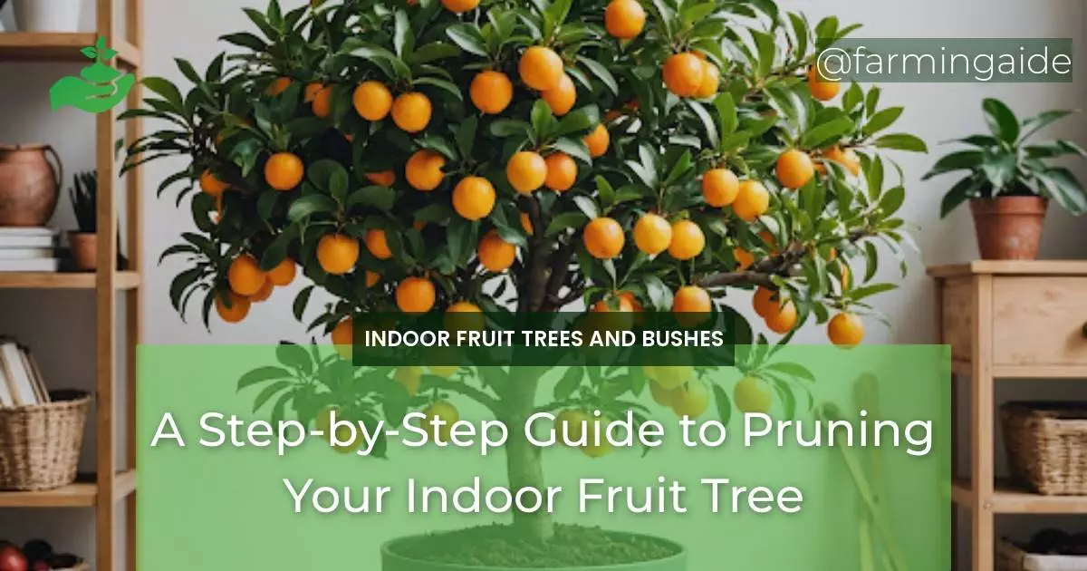 A Step-by-Step Guide to Pruning Your Indoor Fruit Tree