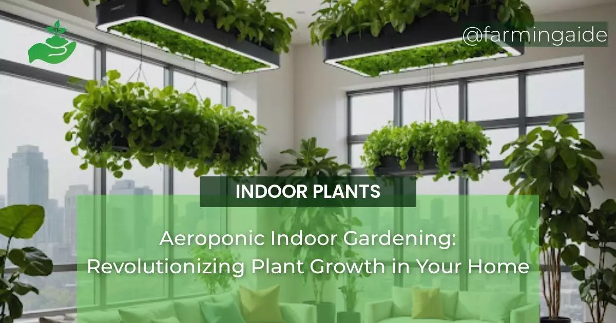 Aeroponic Indoor Gardening: Revolutionizing Plant Growth in Your Home