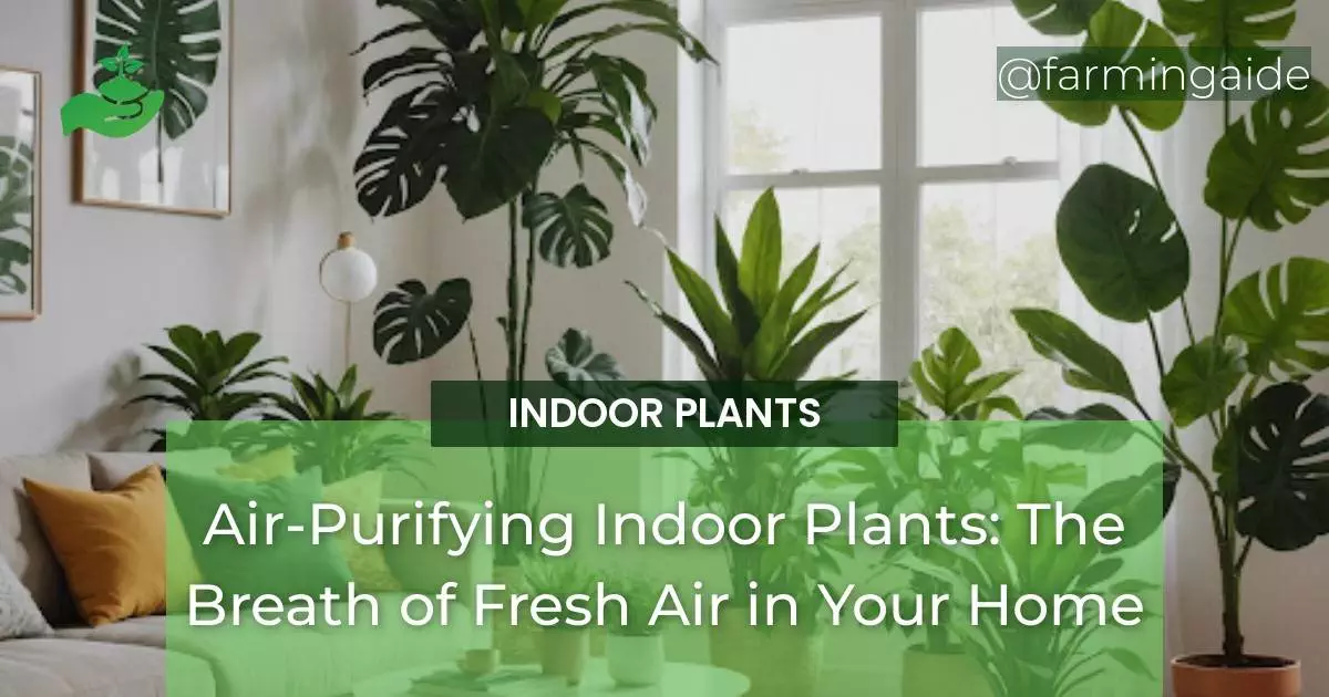 Air-Purifying Indoor Plants: The Breath of Fresh Air in Your Home