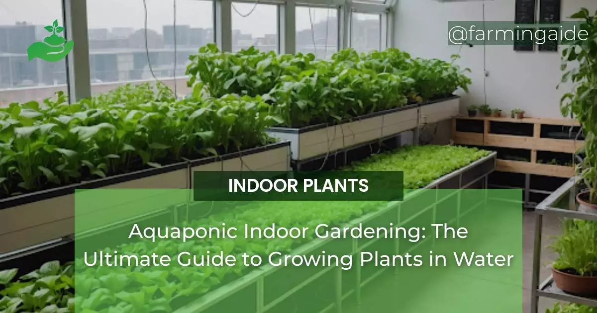 Aquaponic Indoor Gardening: The Ultimate Guide to Growing Plants in Water