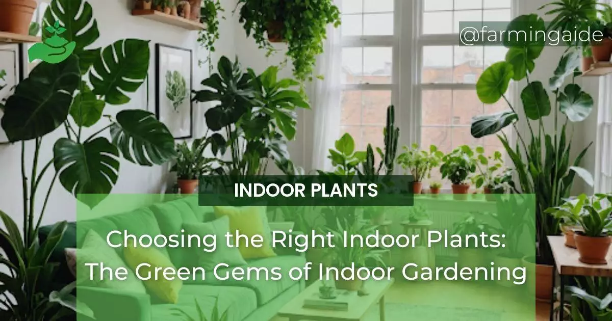 Choosing the Right Indoor Plants: The Green Gems of Indoor Gardening