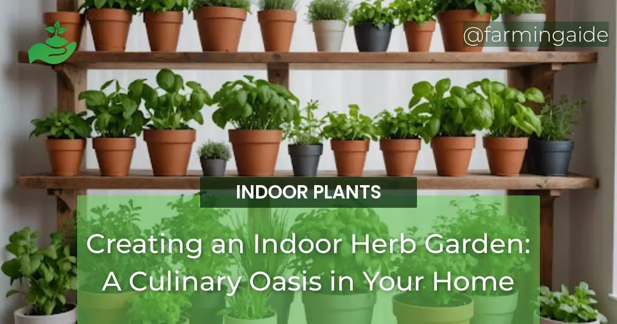 Creating an Indoor Herb Garden: A Culinary Oasis in Your Home