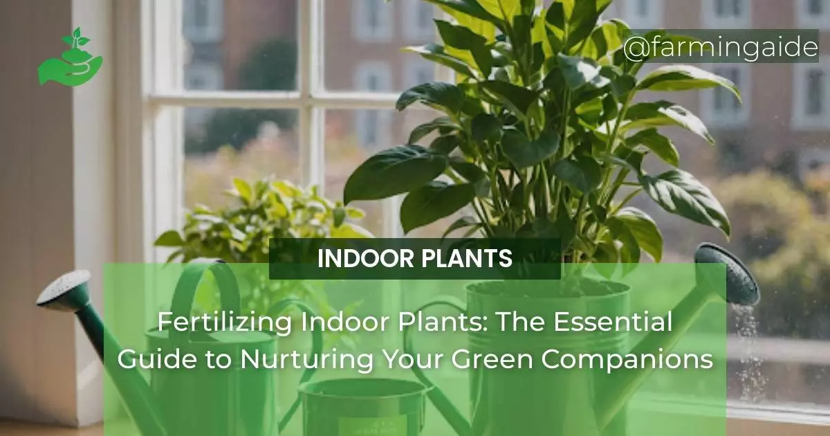 Fertilizing Indoor Plants: The Essential Guide to Nurturing Your Green Companions