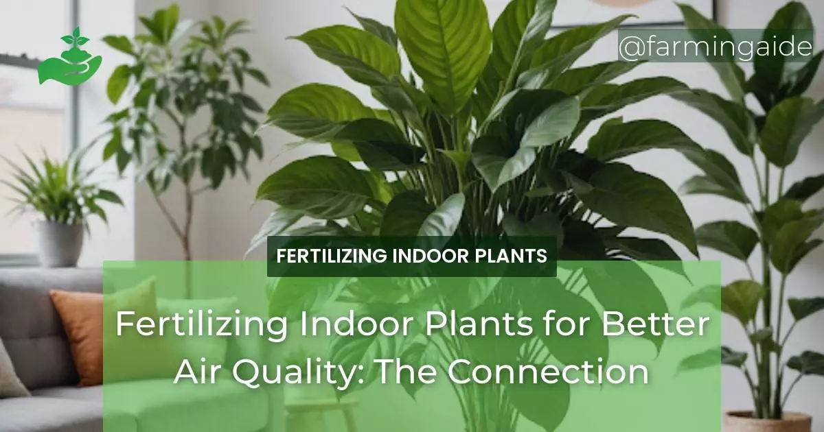 Fertilizing Indoor Plants for Better Air Quality: The Connection
