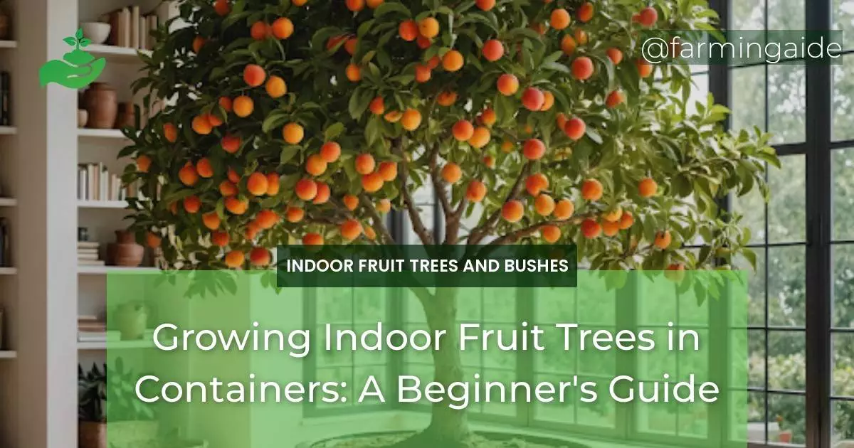 Growing Indoor Fruit Trees in Containers: A Beginner's Guide