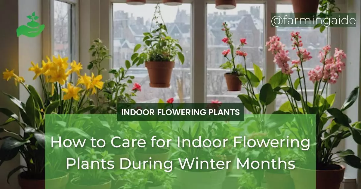 How to Care for Indoor Flowering Plants During Winter Months