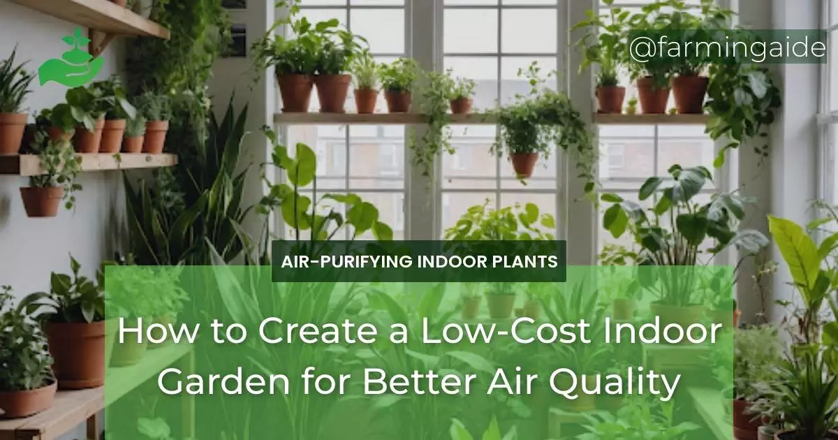 How to Create a Low-Cost Indoor Garden for Better Air Quality