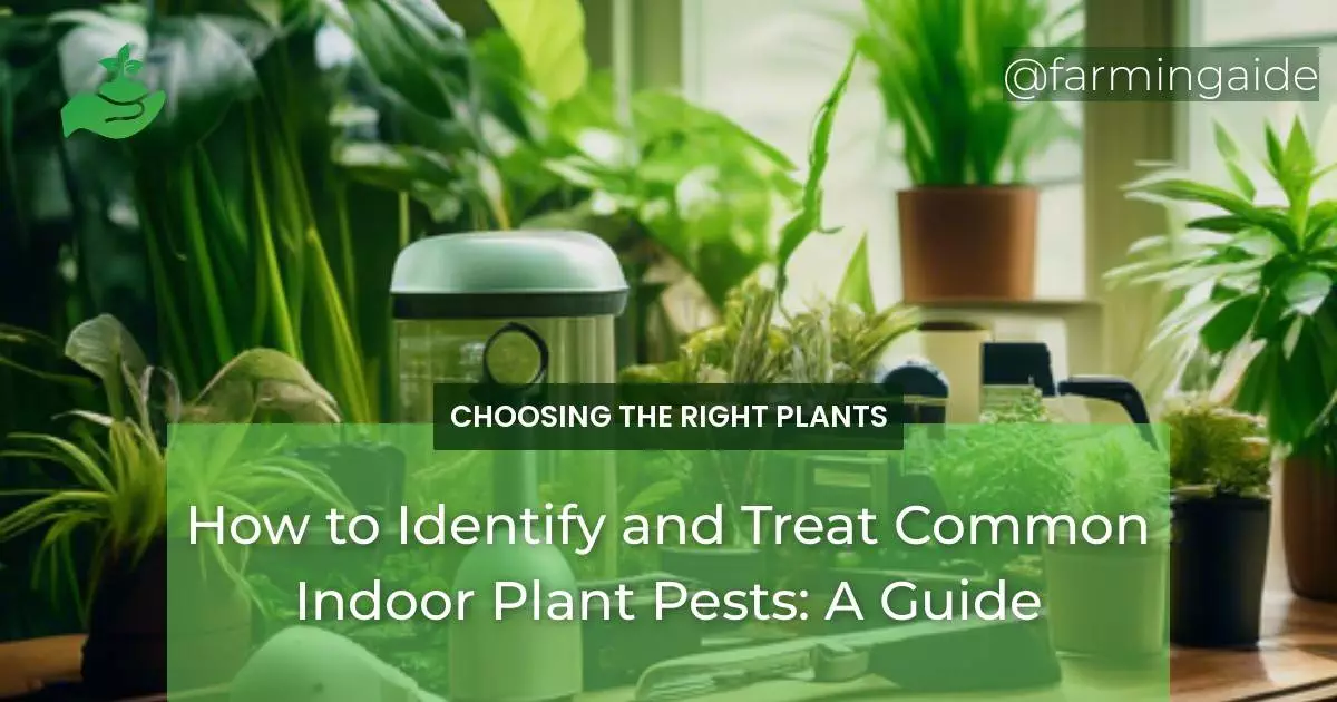 How to Identify and Treat Common Indoor Plant Pests: A Guide