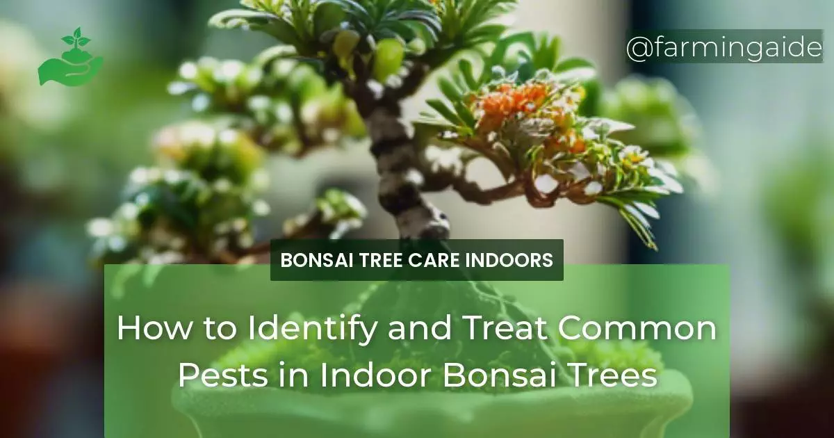 How to Identify and Treat Common Pests in Indoor Bonsai Trees