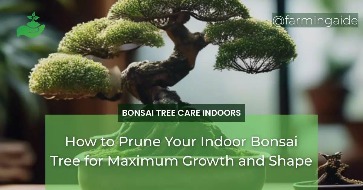 How to Prune Your Indoor Bonsai Tree for Maximum Growth and Shape