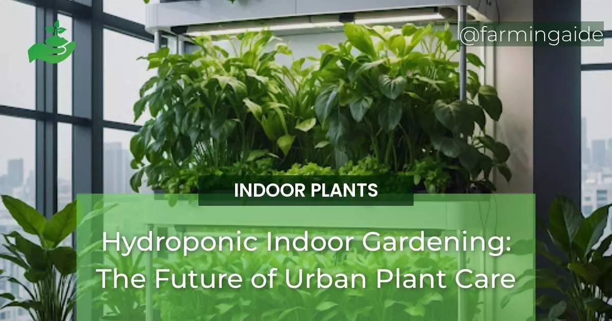 Hydroponic Indoor Gardening: The Future of Urban Plant Care