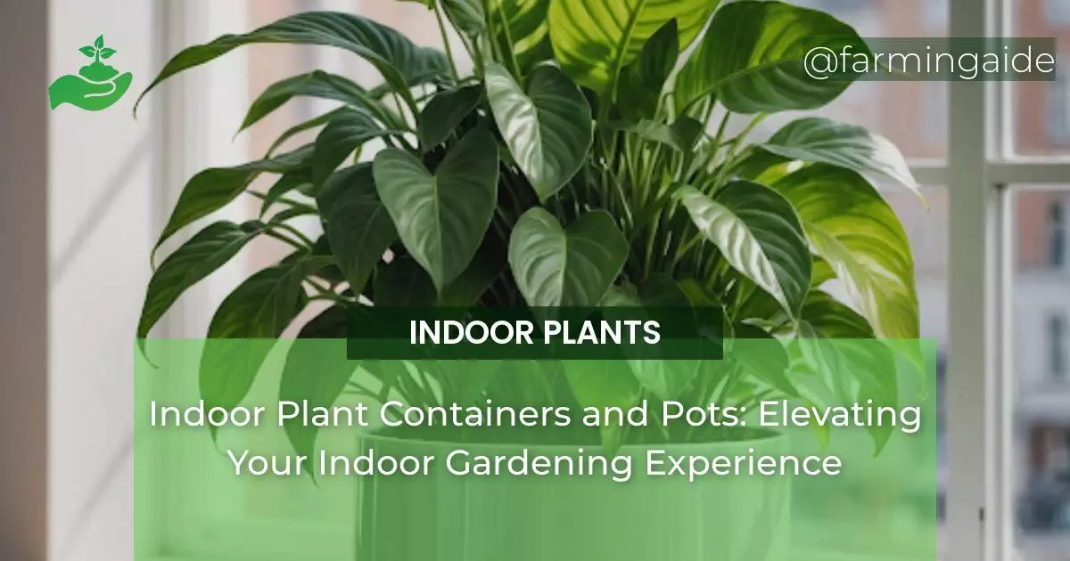 Indoor Plant Containers and Pots: Elevating Your Indoor Gardening Experience