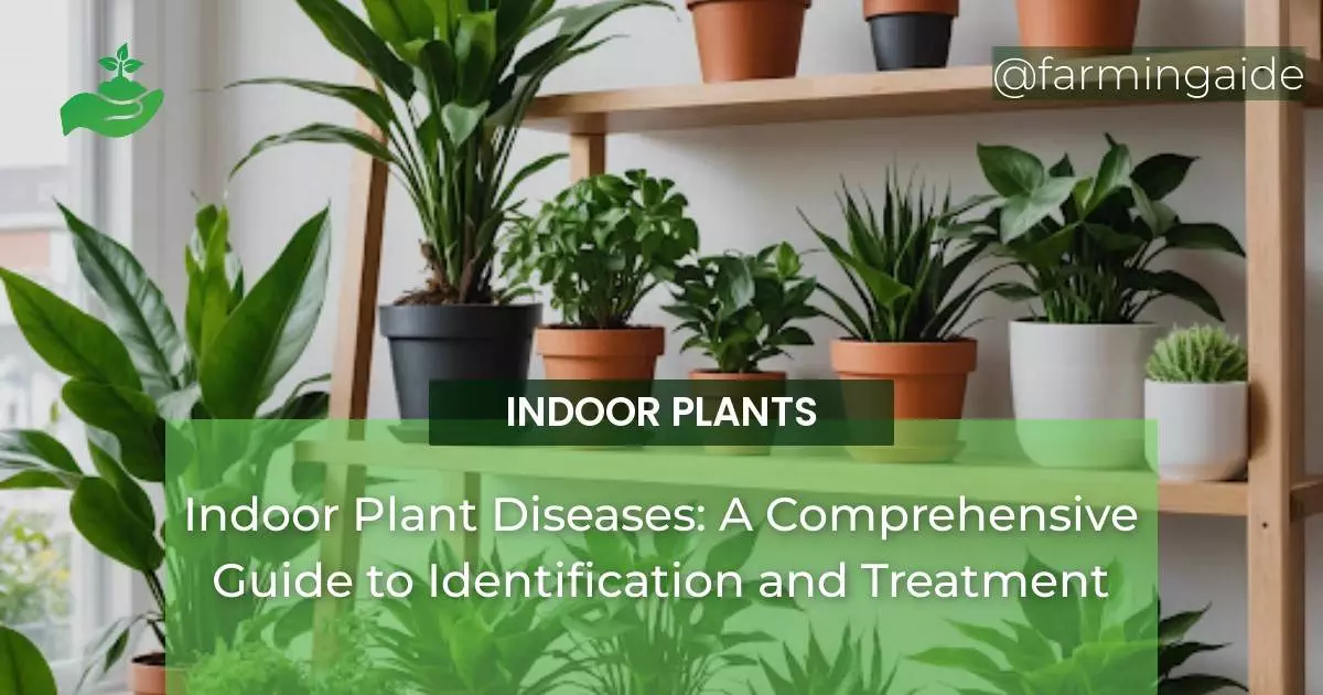 Indoor Plant Diseases: A Comprehensive Guide to Identification and Treatment