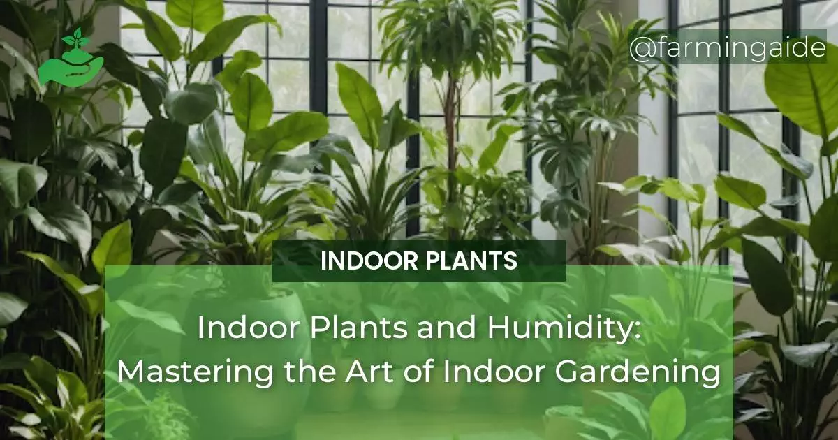 Indoor Plants and Humidity: Mastering the Art of Indoor Gardening