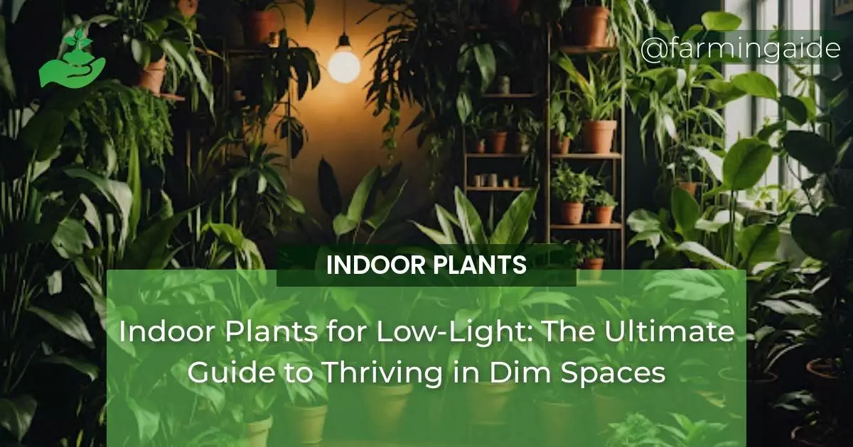 Indoor Plants for Low-Light: The Ultimate Guide to Thriving in Dim Spaces