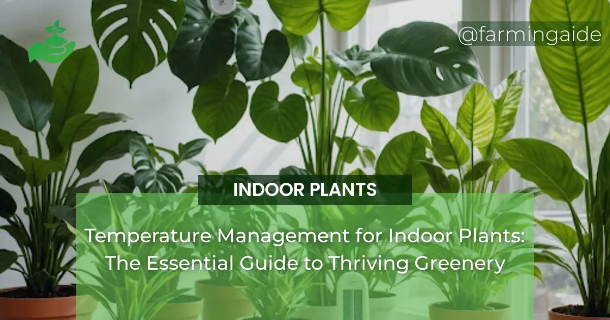 Temperature Management for Indoor Plants: The Essential Guide to Thriving Greenery