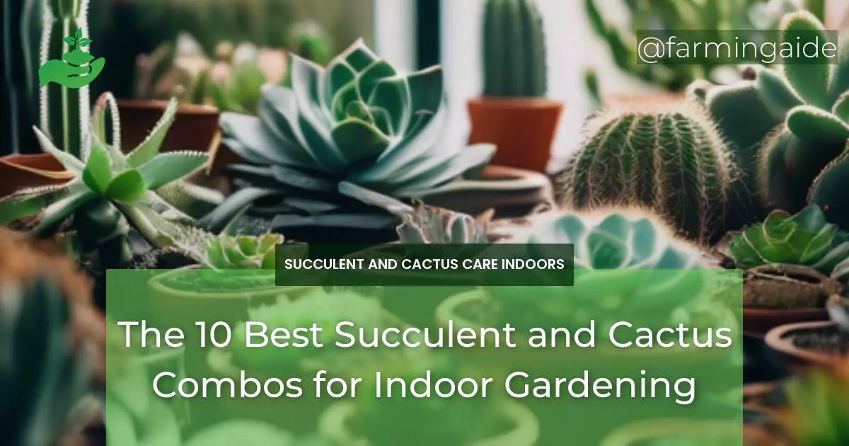 The 10 Best Succulent and Cactus Combos for Indoor Gardening