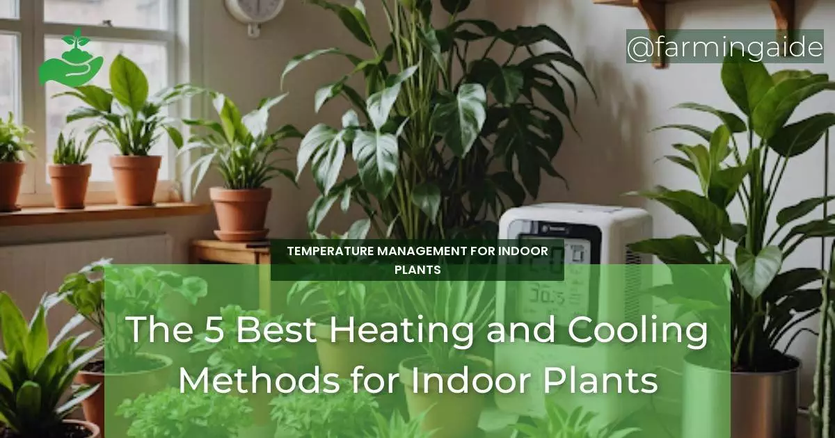 The 5 Best Heating and Cooling Methods for Indoor Plants