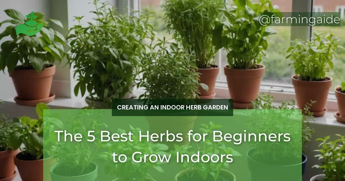 The 5 Best Herbs for Beginners to Grow Indoors