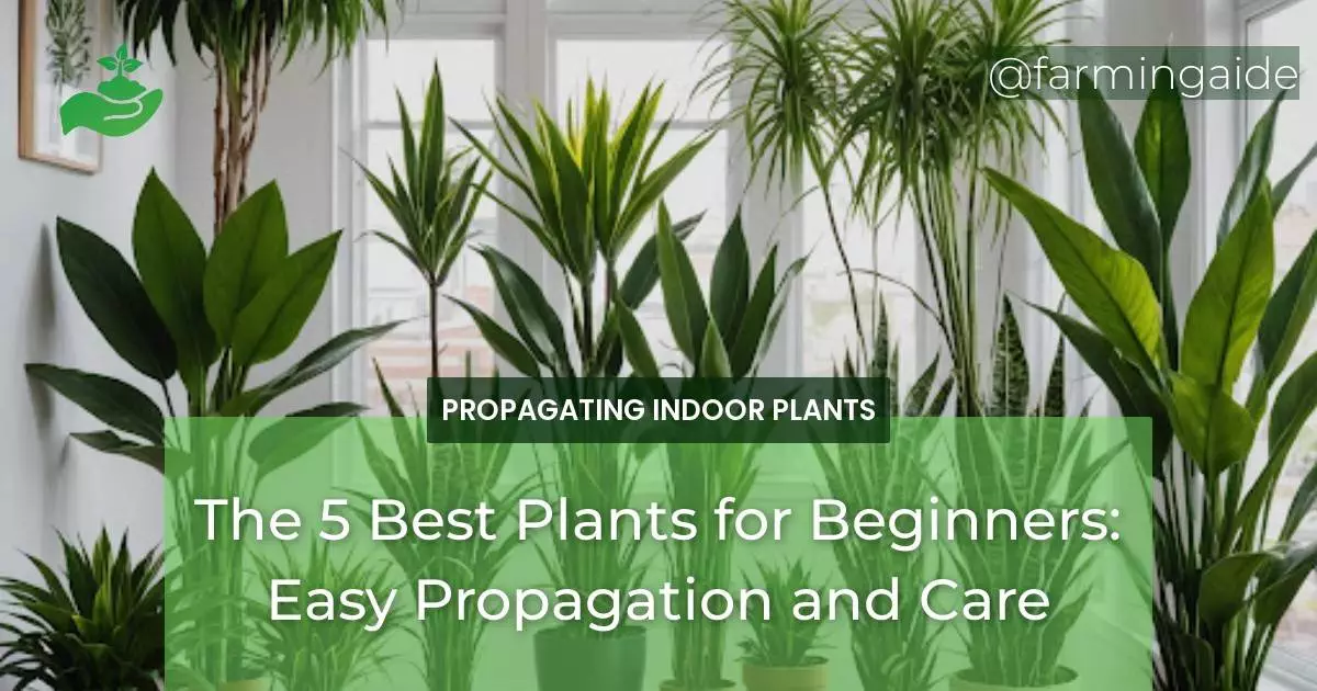 The 5 Best Plants for Beginners: Easy Propagation and Care
