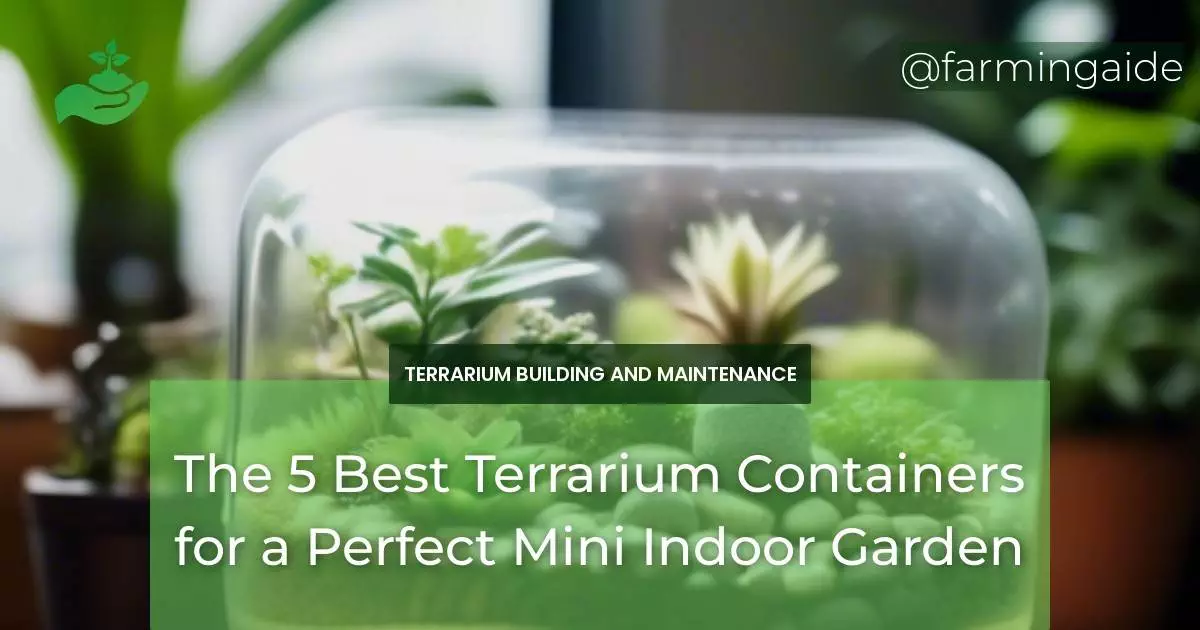 The 5 Best Terrarium Containers for a Perfect Mini Indoor Garden