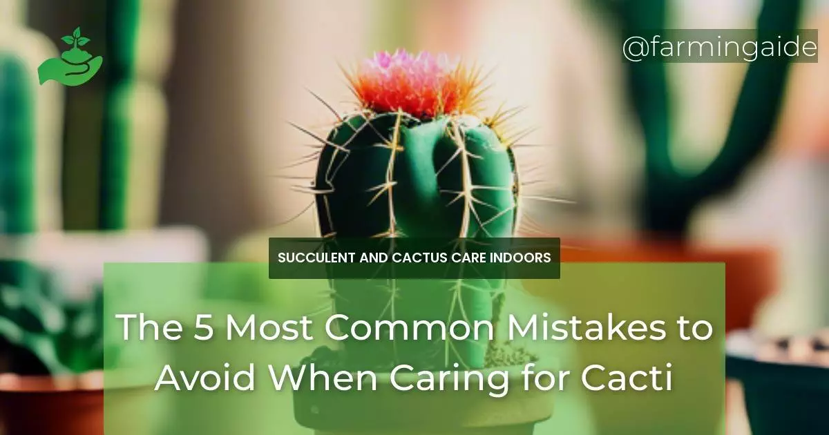 The 5 Most Common Mistakes to Avoid When Caring for Cacti