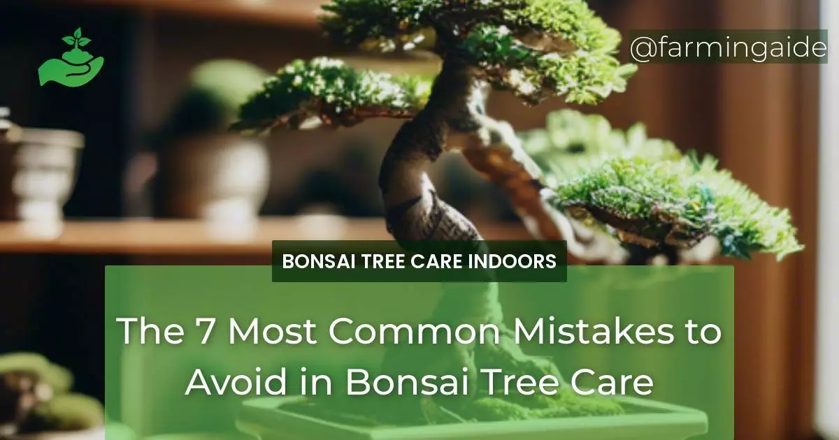 The 7 Most Common Mistakes to Avoid in Bonsai Tree Care