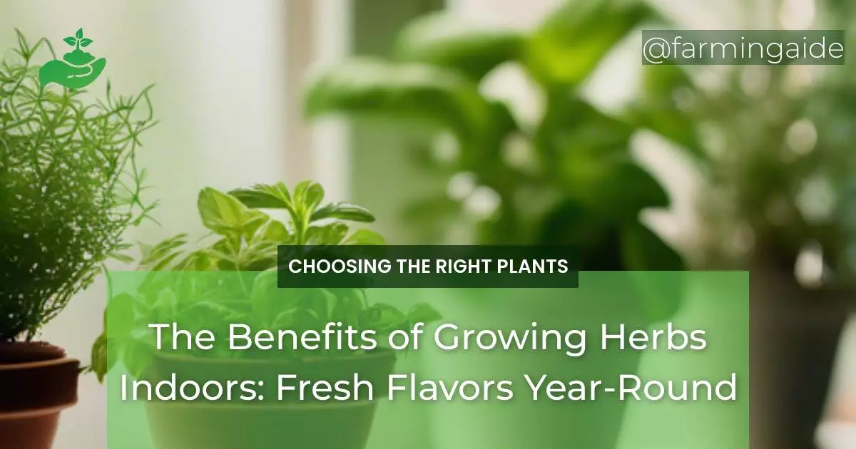 The Benefits of Growing Herbs Indoors: Fresh Flavors Year-Round