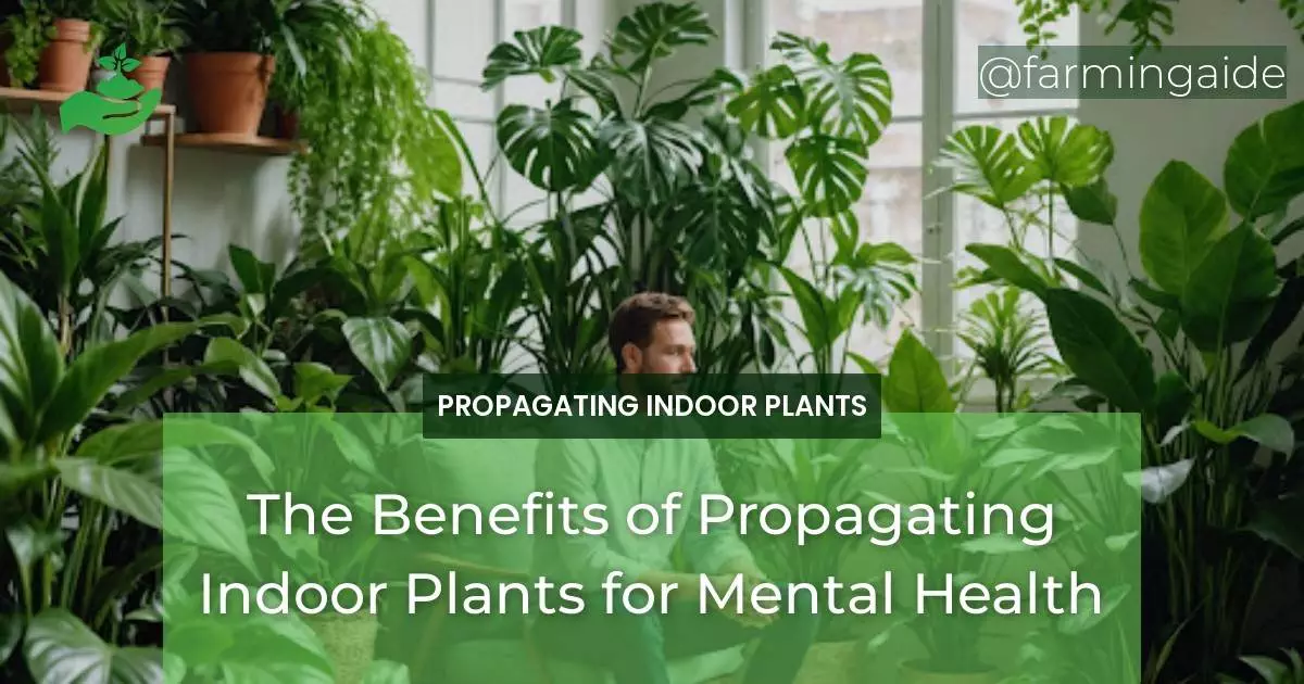 The Benefits of Propagating Indoor Plants for Mental Health